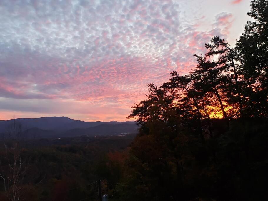 فيلا Yogi'S Den: Breathtaking Views! 3 Min To Dollywood, On 1 Acre! سيفيرفيل المظهر الخارجي الصورة