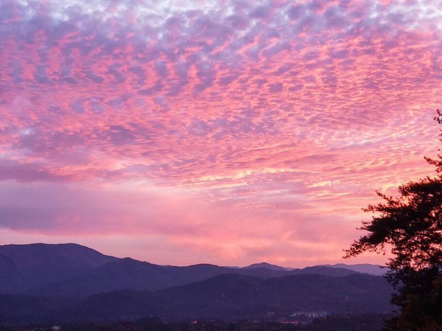 فيلا Yogi'S Den: Breathtaking Views! 3 Min To Dollywood, On 1 Acre! سيفيرفيل المظهر الخارجي الصورة
